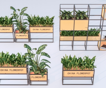 Modern Flower Bed, Flower Bowl, Flower Box-ID:681822064