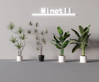 现代落地绿植盆栽组合-ID:480211023