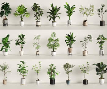 Modern Ground Green Plant Potted Plants-ID:322542915