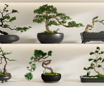 New Chinese Style Bonsai-ID:558254967