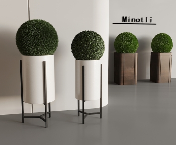 Modern Shrubbery-ID:252384906