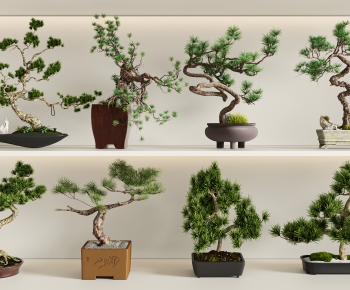 New Chinese Style Bonsai-ID:256952053