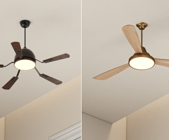 Modern Fan-ID:402862076