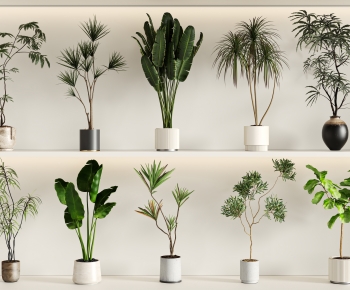 现代落地绿植盆栽组合-ID:799038893