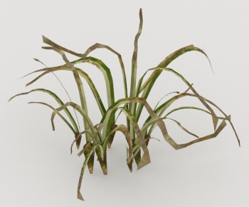 Modern The Grass-ID:424041032