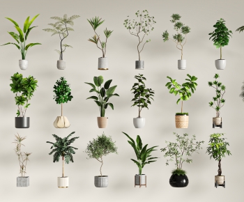 Modern Ground Green Plant Potted Plants-ID:490972043