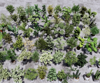Modern Ground Green Plant Potted Plants-ID:108071093