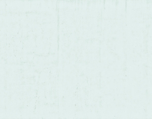 ModernStone Brick Wall