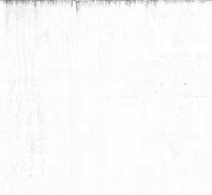 ModernStone Brick Wall