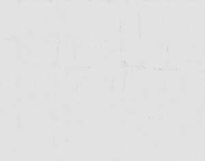 ModernStone Brick Wall