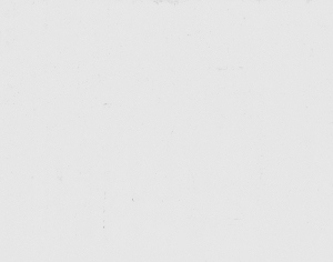 ModernStone Brick Wall