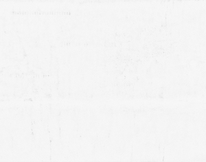 ModernStone Brick Wall