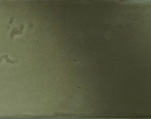 ModernStone Brick Wall