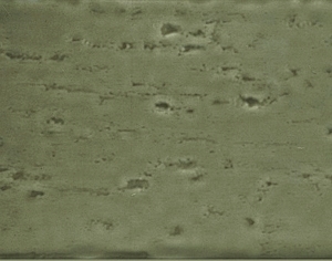 ModernStone Brick Wall