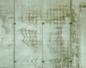 ModernStone Brick Wall