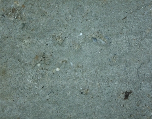 ModernStone Brick Wall