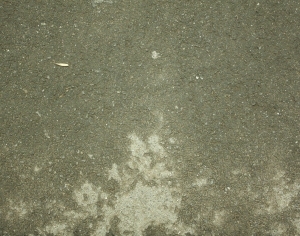 ModernStone Brick Wall