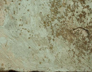 ModernStone Brick Wall