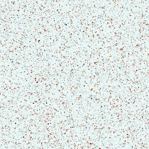 ModernTerrazzo