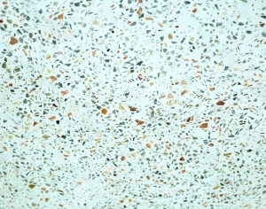 ModernTerrazzo