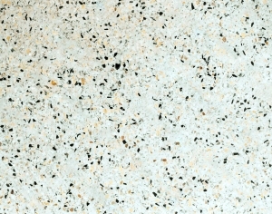 ModernTerrazzo
