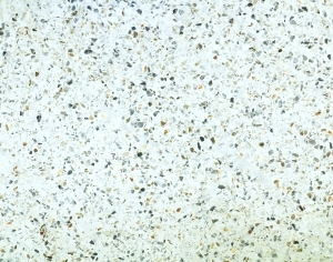 ModernTerrazzo