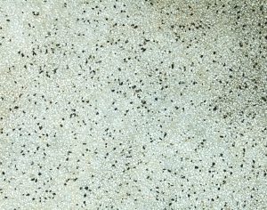 ModernTerrazzo