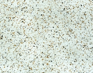 ModernTerrazzo