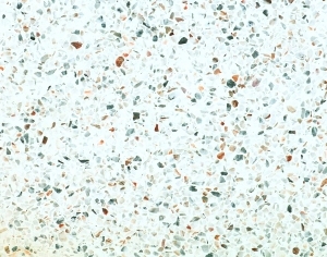 ModernTerrazzo