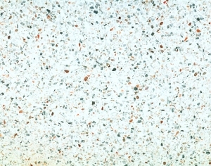 ModernTerrazzo