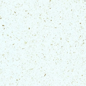 ModernTerrazzo