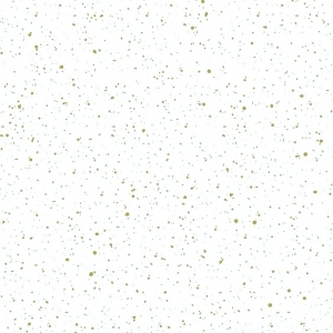 ModernTerrazzo