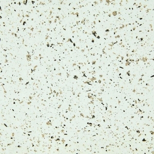 ModernTerrazzo