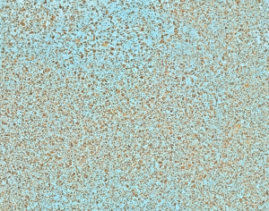 水磨石-ID:325378896