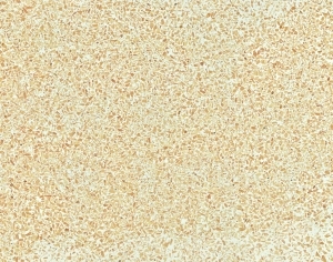 ModernTerrazzo