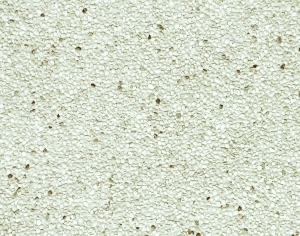 ModernTerrazzo
