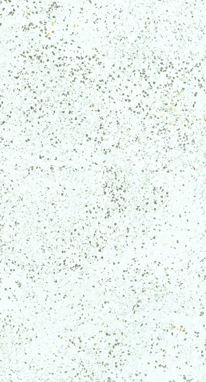 ModernTerrazzo