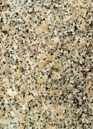 ModernTerrazzo