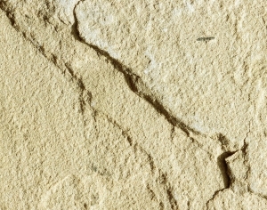 ModernStone Brick Wall