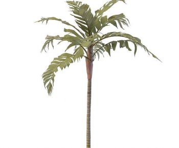 Modern Tree-ID:443512922