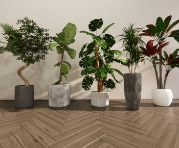 Modern Ground Green Plant Potted Plants-ID:964843994