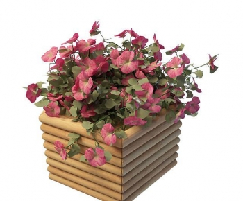 Modern Flower Bed, Flower Bowl, Flower Box-ID:293561941