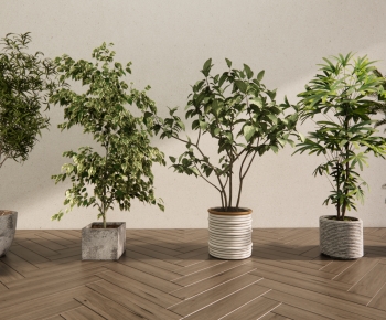 Modern Ground Green Plant Potted Plants-ID:451684958