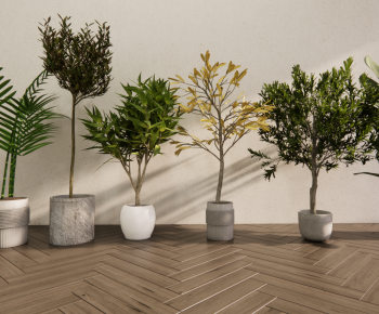 Modern Ground Green Plant Potted Plants-ID:418565999