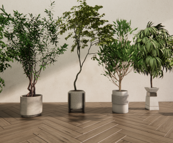 Modern Ground Green Plant Potted Plants-ID:968779095