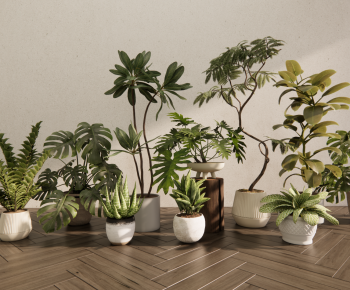 Modern Ground Green Plant Potted Plants-ID:445796015