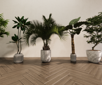 Modern Ground Green Plant Potted Plants-ID:898270688