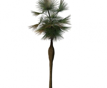 Modern Tree-ID:615412003