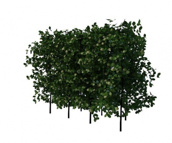 Modern Shrubbery-ID:197644009