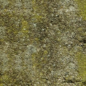 ModernStone Brick Wall